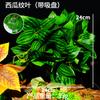 Paisajismo para Acuarios, Caja de Cría para Reptiles, Tortuga, Lagarto, Camaleón, Plantas Artificiales para Selva Tropical, Tanque Ecológico, Paisajismo de Desierto