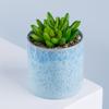 Vaso de Flores de Mesa Pastoral Personalizável Cor Morandi Estilo Nórdico ins Jardim de Flores Verde Acessórios para Casa