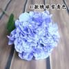 Fundo de Casamento com Flores Decoração de Parede de Flores Guia de Estrada Flores de Mesa Decoração de Mesa de Centro para Sala de Estar Quarto Hortênsia Única Artificial Alta