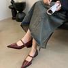 Zapatos Mary Jane de Tacón Grueso Estilo Francés para Mujer, Novedad Primavera 2026 Versátiles de Punta Poco Profundos de Tacón Medio sin Cordones con Hebilla Zapatos de Oficina