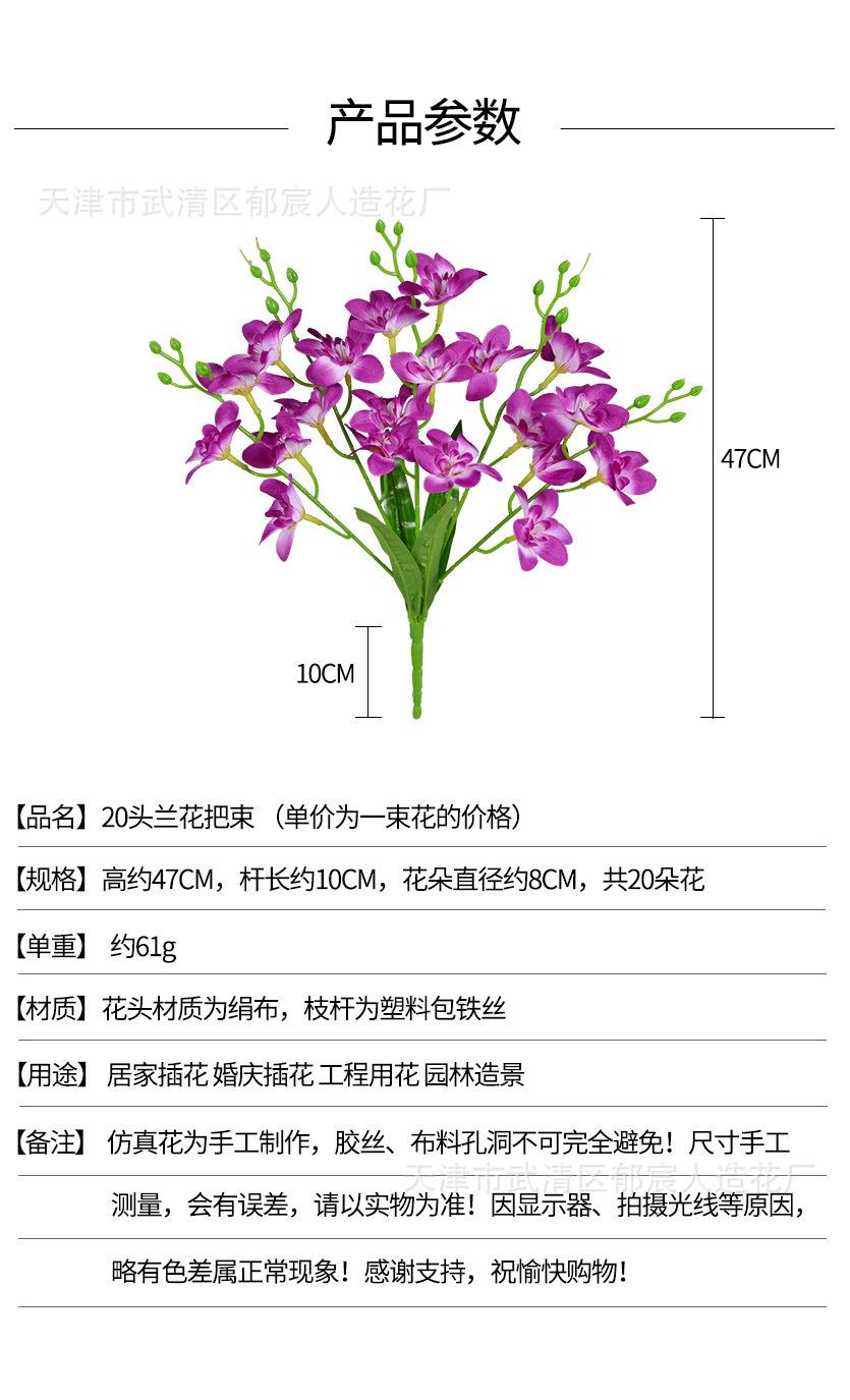 详情_01.jpg