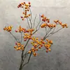 Considerável Montanha-como Retorno Fruta Silvestre Galho Longo Videira de Frutas Silvestres Fruta Galho Morto Ornamento Chinês Pastoral Galho Alto Fruta de Mão