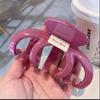 Pinza grande para atrapar ~ color plato grande pinza para atrapar cabello pinza para cabello acrílica moda de alta gama para mujer pinza de tiburón pinza de agarre grande