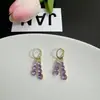 Brincos Longos com Franjas de Cristal Roxo Exquisitos Elegantes Estilo Coreano Moda Luxo Leve Popular na Internet Joia de Orelha Versátil para Mulheres
