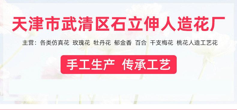 11263838722_156558527