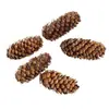 Flores Hechas a Mano del Jardín de Infancia Acorn, Flores Naturales Reales, Piñas, Frutos de Mil Granos, Flores Secas Decorativas, Materiales para Manualidades Navideñas