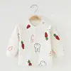 Cardigã para Roupa de Recém-Nascido, Body para Bebê, Roupa de Algodão Puro para Bebê para Primavera e Outono, Top Justo de Peça Única, Camada Base