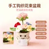 Muñecas de plantas tejidas a mano transfronterizas, decoraciones de plantas tejidas, flores artificiales de ganchillo para fiestas