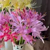 Bulbos de lirio de los valles, Plantas de amarilis en maceta, Semillas de licina, bulbos grandes, flores de balcón, florecen en todas las estaciones