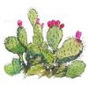 Pintura de diamante 5D DIY diamante completo cactus planta verde sala de estar dormitorio pintura decorativa transfronteriza caliente comercio exterior venta directa de fábrica
