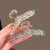 Grampo de Cabelo de Cristal Artesanal de Alta Qualidade com Design de Linha de Pesca, Presilha Premium para Cabelos Grossos, Acessório de Cabelo Feminino para a Parte de Trás da Cabeça, Novo Estilo Presilha Tubarão