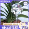 Dispositivo de Riego de Flores de Diamante Láser, Dispositivo de Riego de Suelo para Macetas de Plantas Domésticas, Herramienta de Riego Perezoso para Patio y Balcón