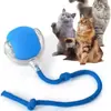Juguetes para Gatos, Bolas Automáticas para Molestar Gatos, Entretenimiento Propio y Alivio del Aburrimiento, Juguetes Interactivos Inteligentes para Gatos, Suministros para Mascotas, Juguetes para Mascotas al por Mayor