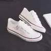Tênis Casual Feminino Branco com Estampa de Grou 2026, Modelo Novo, Lona de Cano Baixo, Slip-On Versátil com Velcro, Sapatos Planos Casuais Respiráveis