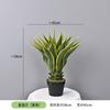 Planta Verde Simulada Pequena Planta em Vaso Suportes Orquídea Tigre Personalizada, Agave, Folha de Ninho de Pássaro, Folha de Dinheiro, Sisal de Cica
