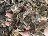 Hongos Morel Secos de Yunnan, Hongos Morel Silvestres Comestibles a Granel, Primera Cosecha, Wholesale