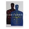 [Target House] Colección de varios estilos, pegatinas de papel para salpicadura de práctica de tiro de 12 x 18 pulgadas