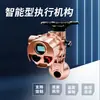 Actuador Eléctrico con Alto Par, Engranaje Helicoidal, Multivuelta Inteligente, Control Remoto In-Situ, Modelo Ip68