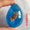 Colgante de Ámbar con Espécimen de Insecto Real Ámbar Insecto Gota de Agua con Forma de Insecto Escorpión Mariposa Abeja Flor Ámbar Transmisión en Vivo Venta al por Mayor