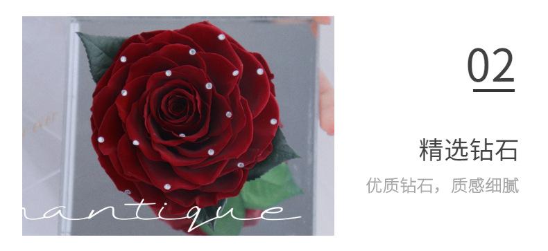 细节展示 (6)
