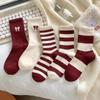 Calcetines Nuevos para Mujer de Caña Media Otoño e Invierno, Calcetines Deportivos Rayados Estilo Melard, Pantalones Tiburón Versátiles de Moda, Medias Retro