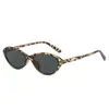 Óculos de Sol Oval com Armação Pequena Estilo Coreano Street Style Versátil Proteção Solar Óculos de Sol Feminino Armação de Cor Lisa Lentes Transparentes
