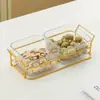 Prato de Lanche Extra Grande, Prato de Frutas, Mesa de Centro para Sala de Estar, Prato Dividido de Alta Aparência para Frutas Secas, Prato de Sementes de Melão, Prato de Doces e Nozes