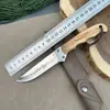 Cuchillo de Barbacoa para Exteriores para Comer Res y Cordero, Cuchillo para Fruta, Cuchillo para Carne, Cuchillo Manual para Carne, Cuchillo Portátil de Acero Inoxidable para Cortar Carne