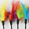 Venta al por mayor de fábrica 60cm50cm Color macarrón pluma divertido palo para gato suministros para gatos juguetes para mascotas