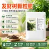 Fertilizante especial para árvores da sorte, fertilizante orgânico, fertilizante para flores, plantas de interior em vasos, promove floração, folhas verde-oliva, fertilizante granular de liberação lenta