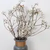 Fruta de Sebo China Flores Secas Flores Reales Decoración Ramas Secas Estilo Zen Mobiliario Suave Paisajismo Adornos Arreglo Floral Ramas Frutas Blancas Pequeñas Ramas Grandes Otros