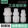 Unión de casquillo de PVDF, cable exterior recto, manguera de PVDF, unión rápida, diente exterior, unión recta, tráquea, rosca de tubería de dos piezas
