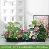 Maceteros con Flores Artificiales y Plantas Verdes, Combinaciones de Flores y Plantas Falsas, Maceteros Decorativos para Separación y Ocultación, Arte Floral Paisajístico