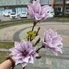 Flores de Ano Novo, Frutos de Azevinho Vermelhos, Balde Dourado de Abraço, Flores do Balde da Sorte, Romã, Caqui, Decoração de Casa, Flores Artificiais Atacado