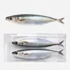 Impresión 3D Simulación Señuelo Barracuda Blíster con Ojo de Pez Biomórfico Señuelo para Pesca en Mar Señuelo Artificial Señuelo Blando Venta al por Mayor
