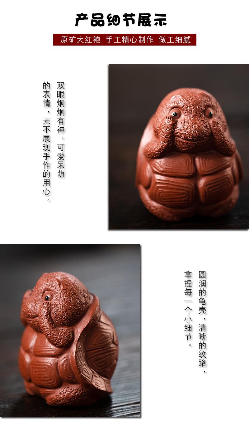 三不龟20220112 (26).jpg