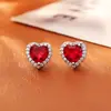 Pendientes Coloridos Explosivos de Alta Gama con Circonita Aguja de Plata S925 Moda Simple Lujo Accesible Pendientes Versátiles Pendientes Unisex