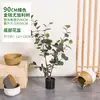 Planta Verde Artificial en Maceta Estilo Nórdico Árbol de Eucalipto Planta Artificial Grande Adorno Decoración de Interior Árbol de Hojas de Dinero Bonsái