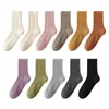 Calcetines Nuevos para Mujer de Otoño e Invierno, de Tubo Medio Engrosados de Alta Elasticidad, con Patrón de Cáñamo, Color Sólido, Estilo Holgado, Calcetines de Tubo Largo, Lindos Calcetines para Embarazadas
