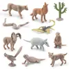 Set de 11 Figuras de Animales del Desierto Figuras de PVC incluyendo Coyote Escorpión Serpiente de Cascabel Suricata Armadillo Puma y Cactus Realista Deser