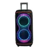 Altavoces Bluetooth Dobles de 8 pulgadas, Altavoces Comerciales para Ventas en Tienda, Directo del Fabricante, Personalizables