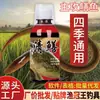 Agente cebo anguila espíritu anguila secreta anguila amarilla cebo langosta exterior Loach tortuga atrayente pesca pequeña Red Medicina jaula