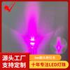Diodo Emissor de Luz Redondo Rosa F5 5mm Alta Luminosidade LED Branco-Rosa Diodo Emissor de Luz Violeta LED 3V