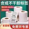 Papel Sintético Térmico à Prova de Cinco Fatores, Resistente a Baixas Temperaturas, Resistente a Rasgos, Papel Térmico para Congelamento de Alimentos Frescos na Cadeia de Frio, Adesivos de Etiqueta Térmica para Refrigeração de Supermercado