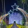 Caja de Regalo Creativa para Celebridad de Internet para Exteriores Lámpara con Forma de Arco Iluminación Grande Luz de Festival Montaje de Escena Lámpara de Ambiente Venta al por Mayor