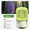 Novo Modelo para Entrega: Zhumeng Casa Celebridade da Internet Sem Fogo Líquido Refil de Aromaterapia para Quarto de Menina Fragrância Gaiola de Pássaro Pequeno Perfume