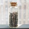 Frasco de Vidrio Sellado de Grado Alimenticio, Mini Botella Dispensadora de Polvo para Té y Café, Frasco de Almacenamiento de Cocina a Prueba de Humedad