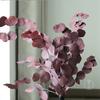 Folhas de Maçã Eternas, Folhas Redondas que Absorvem Cor, Folhas de Eucalipto, Flores Secas Naturais, Decoração de Casa para Interior Fábrica Atacado