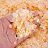 Concha Grande Natural de Nácar Disco Blanco Concha Brillo Lentejuelas para Uñas Decoraciones para Uñas DIY Hechas a Mano Materiales para Uñas