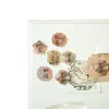 Imán Magnético Acrílico Alegre y Saludable para Refrigerador con Estilo Antiguo y Texto Caligráfico de Tendencia Nacional con Hermoso Significado y Deseos para Baoshishi